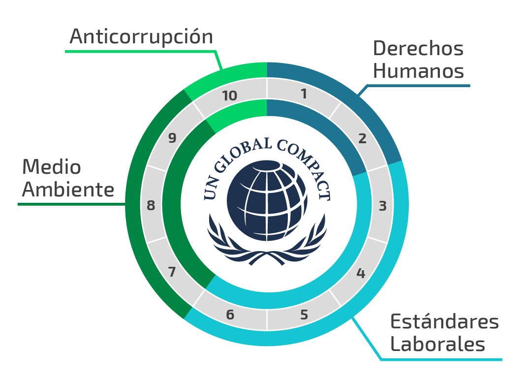 Aratubo Principios del Pacto mundial de la ONU
